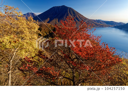 紅葉の奥日光・社山稜線から見る男体山 104257150