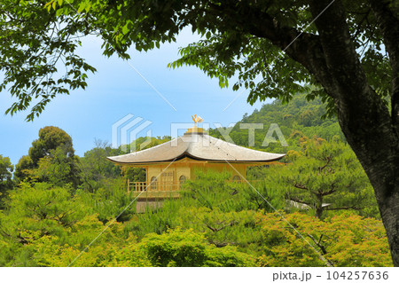 世界遺産 京都のお寺 金閣寺(鹿苑寺)の景観 世界遺産 京都のお寺 金閣寺(鹿苑寺)の景観 104257636