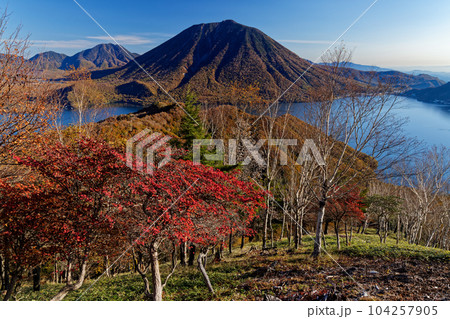 紅葉の奥日光・社山稜線から見る男体山 紅葉の奥日光・社山稜線から見る男体山 104257905
