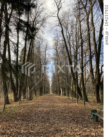 Panoramic view of the alleys in the Gorki Leninskiye Museum-Reserve in autumn. High quality photo 104257932