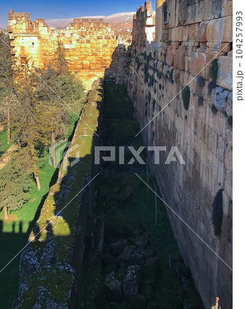 Fortified walls of Baalbek, Lebanon. Red walls and forest. High quality photo Fortified walls of Baalbek, Lebanon. Red walls and forest. High quality photo 104257993