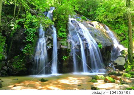 【京都府】新緑の金引の滝（日本の滝百選） 104258408