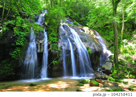 【京都府】新緑の金引の滝（日本の滝百選） 104258411