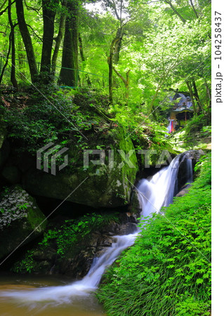 【京都府】新緑の金引の滝と白竜の滝（日本の滝百選） 104258437