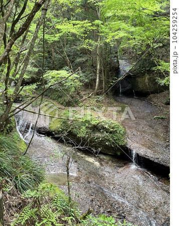 旅行先で出会った渓谷 104259254