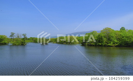 大沼公園（5月）5 104259399