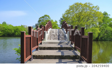 大沼公園(5月)6 大沼公園(5月)6 104259400