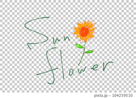 向日葵 向日葵 104259510
