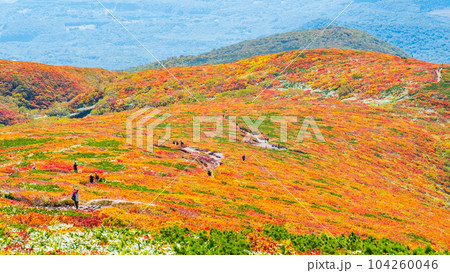 秋の栗駒山登山（中央コース）：神の絨毯 104260046