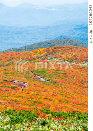 秋の栗駒山登山（中央コース）：神の絨毯 104260048