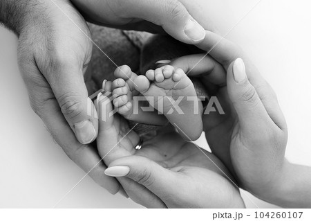 The palms of the father, the mother are holding the foot of the newborn baby on white background. Feet of the newborn on the palms of the parents. Photography of a child's toes, heels and feet. 104260107