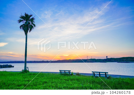 （千葉県）銚子マリーナ・対岸の屛風ヶ浦　夕景 104260178