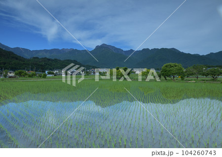 北杜市白州町、南アルプスの山並み、麓の街並み映す緑の田園 104260743