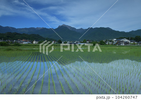 北杜市白州町、南アルプスの山並み、麓の街並み映す緑の田園 104260747