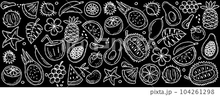 Tropical fruits. Horizontal banner for your text. White on black background 104261298