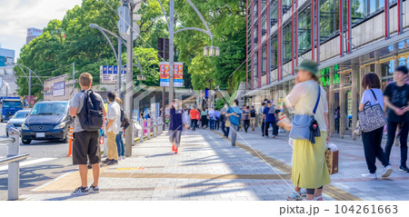 東京上野の都市風景　上野公園通り 104261663