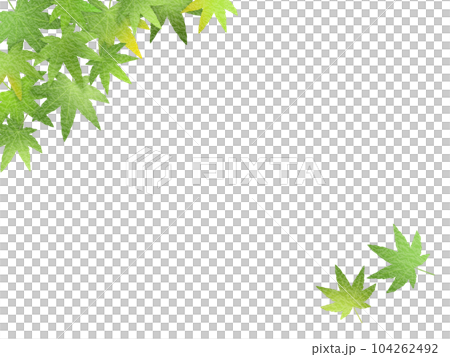 Green maple background D-2 Japanese paper Green maple background D-2 Japanese paper 104262492