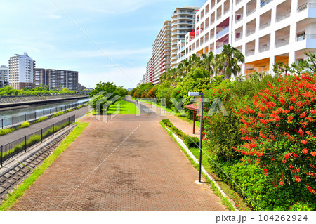 日の出橋／境川より明海橋方面を望む(千葉県浦安市)【2023.6】 104262924