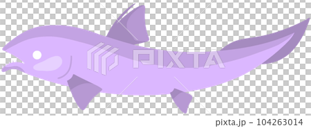 ヘリコプリオン 104263014