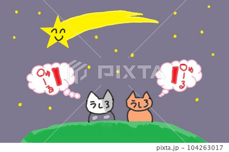 目が大きい猫の流れ星 目が大きい猫の流れ星 104263017