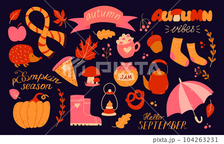 Autumn set, hand drawn elements- calligraphy, fall leaves, umbrella, pumpkin. 104263231