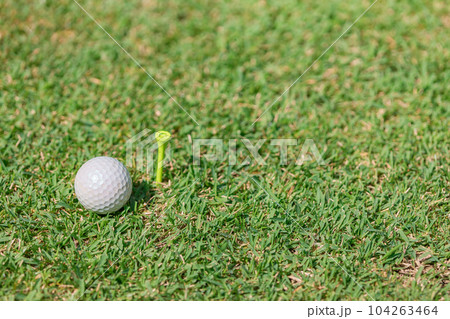 ティーとゴルフボール 104263464