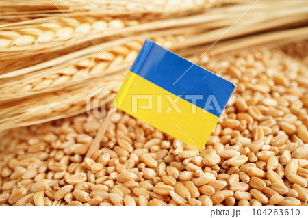 Ukraine flag on grain wheat, trade export and economy concept. Ukraine flag on grain wheat, trade export and economy concept. 104263610