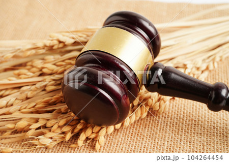 Judge gavel hammer with good grain rice from agriculture farm. Law and justice court concept. Judge gavel hammer with good grain rice from agriculture farm. Law and justice court concept. 104264454
