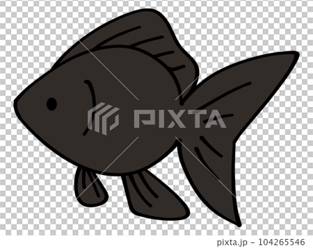 シンプルな黒い金魚のイラスト素材のイラスト素材 [104265546] - PIXTA
