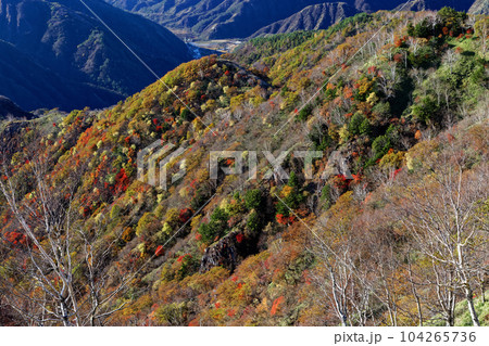 奥日光・社山稜線から見る紅葉の山並み 奥日光・社山稜線から見る紅葉の山並み 104265736