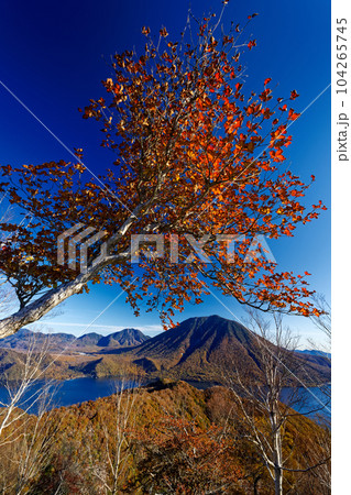 奥日光・社山稜線の紅葉と男体山の眺め 奥日光・社山稜線の紅葉と男体山の眺め 104265745