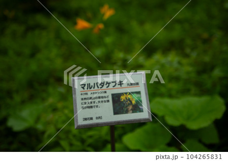 入笠山 入笠山 104265831