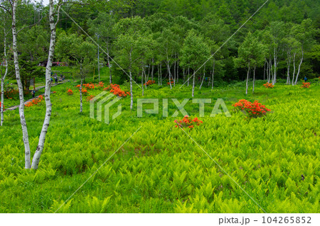 入笠山 入笠山 104265852