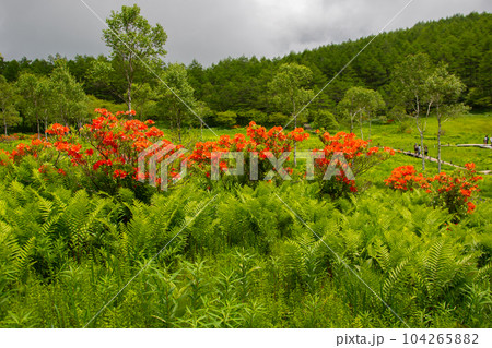 入笠山 入笠山 104265882