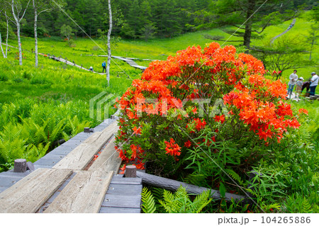 入笠山 入笠山 104265886