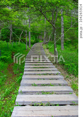 入笠山 入笠山 104265914