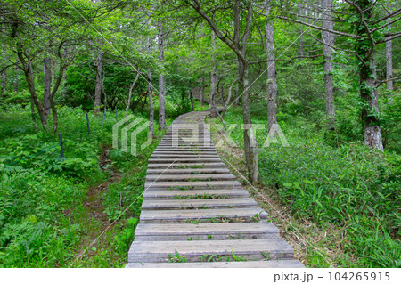 入笠山 入笠山 104265915