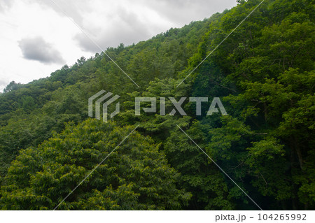 入笠山 入笠山 104265992