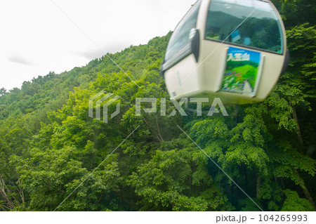 入笠山 入笠山 104265993