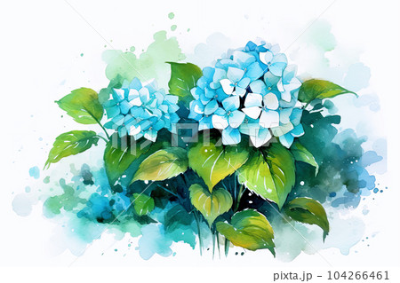 透明水彩画『紫陽花と観る人達』 透明水彩画『紫陽花と観る人達』 （アナベル 紫陽花 水彩画