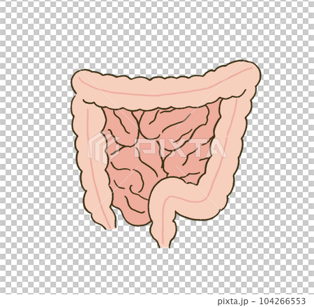 簡單觸摸腸道的醫學醫學插圖 104266553