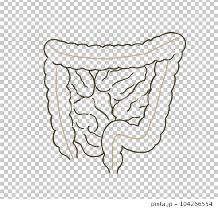 簡單觸摸腸道的醫學醫學插圖 簡單觸摸腸道的醫學醫學插圖 104266554
