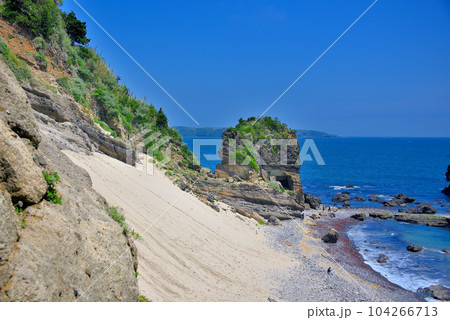 伊豆半島・田牛サンドスキー場・子どもに大人気のソリ遊びスポットと観光客・静岡県下田市(1) 104266713