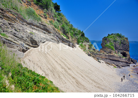 伊豆半島・田牛サンドスキー場・子どもに大人気のソリ遊びスポットと観光客・静岡県下田市(2) 104266715