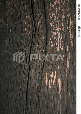 Texture of an old wooden board 104266846