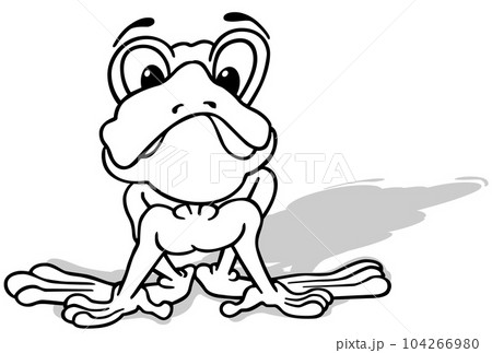 Drawing of a Frog from Front View 104266980