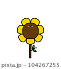Sunflower  104267255