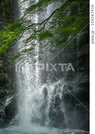 滝の水しぶき、箕面の滝 滝の水しぶき、箕面の滝 104267416