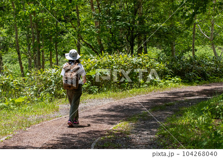 野反湖畔の遊歩道を歩く女性 104268040