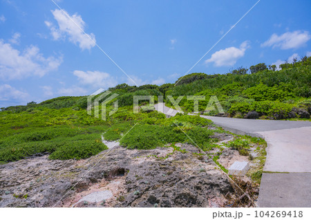 沖縄 久高島 神の島、自然の残る島の道 沖縄 久高島 神の島、自然の残る島の道 104269418